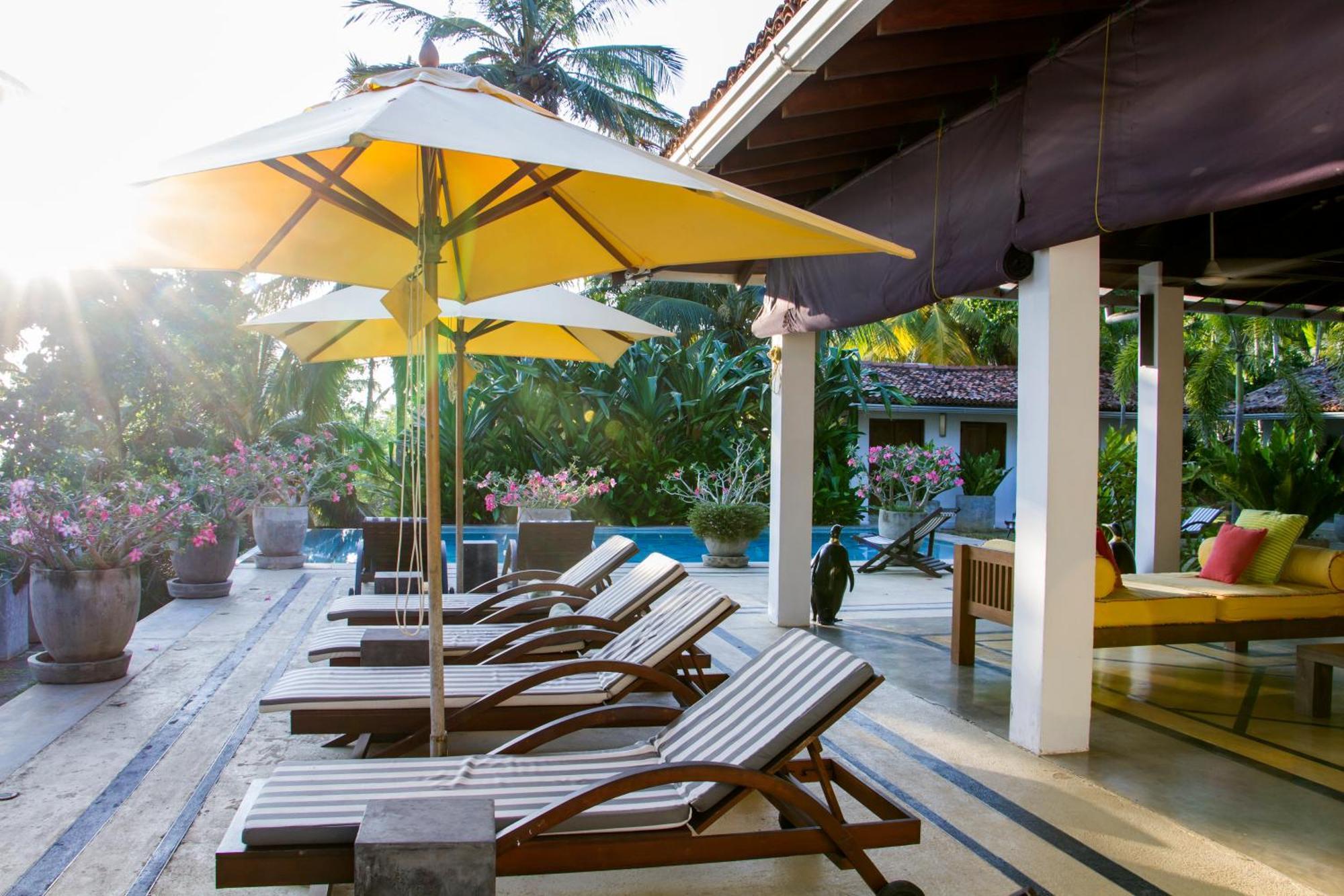The Saffron House Hotell Dikwella Exteriör bild